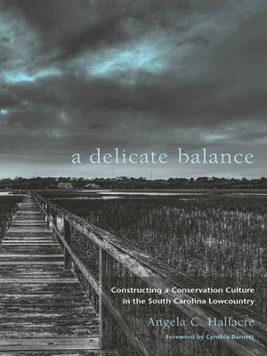 cover image of A Delicate Balance